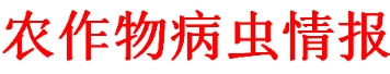 农作物病虫情报(2024年第7期):荔枝病虫发生预报