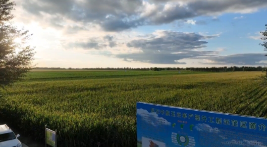 金秋九月 收获在即